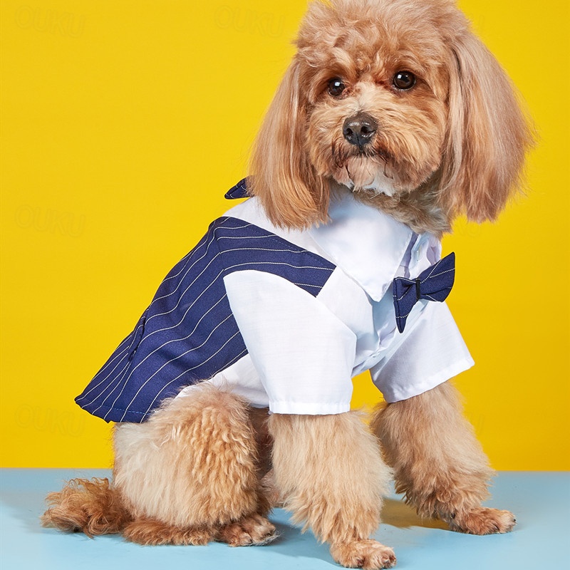 Papillon dog clothing best sale