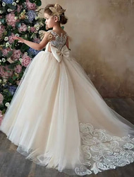 Flower Girl Dress Girls' First Communion Dress Party Dress Performance Wedding Party Princess Sweet Mesh Solid Color Sleeveless Crew Neck White Champagne 2-12 Years