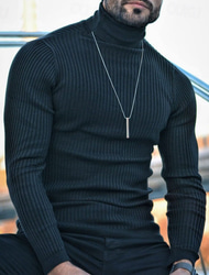 Voor heren Trui Geribd breien Normaal Gebreid Strakke pasvorm Effen Coltrui Modern eigentijds Werk Alledaagse kleding Kleding Winter Lente & Herfst Zwart S M L