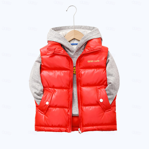 Chico 3D Chaqueta acolchada para ninos Plano Chaqueta de plumas Plumon Chaqueta acolchada Sin Mangas Otono Invierno Activo Adorable Ninos 3 13 anos Escuela Diario 2024 20.99