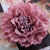 cheap Pins and Brooches-Fall Wedding Women&#039;s Men&#039;s Girls&#039; Brooches Stylish Brooch Jewelry Purple Red Blue For Party Wedding Halloween Daily wear/ Couple&#039;s