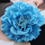 cheap Pins and Brooches-Fall Wedding Women&#039;s Men&#039;s Girls&#039; Brooches Stylish Brooch Jewelry Purple Red Blue For Party Wedding Halloween Daily wear/ Couple&#039;s