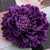 cheap Pins and Brooches-Fall Wedding Women&#039;s Men&#039;s Girls&#039; Brooches Stylish Brooch Jewelry Purple Red Blue For Party Wedding Halloween Daily wear/ Couple&#039;s