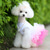 cheap Dresses-Dog Cat Pets Dress Puppy Clothes Sports &amp; Outdoors Dresses&amp;Skirts Dog Clothing for Husky Labrador Alaskan Malamute Golden Retriever Dalmatian