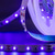 abordables Luces de tira de enchufe-Tira de luces led de luz negra uv 16.4ft 5m flexible 395-405nm 2835smd 8mm flexible dc12v para fiesta de baile en interiores iluminación de escenario pintura corporal