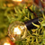 cheap Plug String Lights-Elegant Wedding Reception Party Outdoor String Lights 7.62M 25ft G40 Bulbs Outdoor Wedding Decoration Backyard Bistro Patio Balcony Home Decoration 7W Globe Light String 220-240V