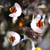 voordelige Ledverlichting op zonne-energie-Buitenzonne-bijenlichtsnoer, 20 leds waterdichte tuinverlichting met 8 standen, op zonne-energie werkende led-lampjes voor buitenterras, bloemen, bomen en feestversieringen