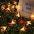 voordelige Ledverlichting op zonne-energie-Buitenzonne-bijenlichtsnoer, 20 leds waterdichte tuinverlichting met 8 standen, op zonne-energie werkende led-lampjes voor buitenterras, bloemen, bomen en feestversieringen