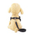 cheap Dog Collars, Harnesses &amp; Leashes-Dog Cat Outfits Harness Trainer Walking For Dog / Cat Geometric Footprint / Paw Husky Golden Retriever Dalmatian