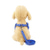 cheap Dog Collars, Harnesses &amp; Leashes-Dog Cat Outfits Harness Trainer Walking For Dog / Cat Geometric Footprint / Paw Husky Golden Retriever Dalmatian