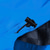 cheap Softshell, Fleece &amp; Hiking Jackets-Women&#039;s Waterproof Hiking Jacket Rain Jacket Outdoor Patchwork Thermal Warm Waterproof Windproof Breathable Outerwear Windbreaker Trench Coat Hunting Ski / Snowboard Fishing Green Fuchsia Red Blue