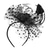 cheap Fascinators-Fascinators Kentucky Derby Hat Feather Special Occasion Party / Evening Ladies Day Melbourne Cup Cocktail Flower Style Elegant With Feather Polka Dot Headpiece Headwear
