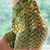 Χαμηλού Κόστους Σορτς γιόγκα-Γυναικεία Ψηλή Μέση Σορτς γιόγκα Ξύλο Κοντά Παντελονάκια Παντελόνια Φούστες Έλεγχος κοιλιάς Αντίστροφη καρότσα Γρήγορο Στέγνωμα 3D εκτύπωση Χρυσαφί Μαύρο Βυσσινί Ελαστίνη / Καλοκαίρι