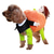 baratos Trajes-Cachorros Trajes da Noite das Bruxas Fantasia para Cachorro Traje de Halloween Dia Das Bruxas Roupas para cães
