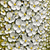 cheap Floral/Botanical Paintings-Oil Painting 100% Handmade Hand Painted Wall Art On Canvas Modern Palette Knife Painting White Plum Floral Home Decoration Decor Rolled Canvas No Frame Unstretched