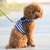 cheap Dog Collars, Harnesses &amp; Leashes-pet chest harness traction rope dog chain teddy small dog walking dog rope vip chest harness set