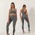 cheap Yoga Suits-Women&#039;s Workout Outfits Yoga Suit Summer Fashion Clothing Suit Jacinth +Gray Green Nylon Yoga Fitness Tummy Control Butt Lift Moisture Wicking Sleeveless Sport Activewear High Elasticity Slim