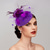 baratos Fascinadores-Fascinadores Chapéus Acessório Plumas Rede Chapéu de Prato Outono Casamento Festa  Noite Melbourne Cup Cocktail Royal Ascot Com Tiara de Plumas Fascinadores Vestido Dia de Corrida