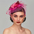 cheap Accessories and More-Retro Vintage 1950s 1920s Headpiece Party Costume Fascinator Hat Women&#039;s Masquerade Party / Evening Bachelorette Party Adults&#039; Headwear