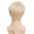 abordables Perruques de personnages de films-Perruques de cosplay Blond Lisse Cheveux synthétiques Court Perruques Homme Perruques Pour la fête