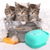 economico Strumenti da bagno-Bagno Cane Spazzola Da Bagno Guanti Da Massaggio Morbido Pettine In Silicone Di Sicurezza Con Scatola Di Shampoo Accessori Per Animali Domestici Per Gatti Strumento Per La Toelettatura Della Doccia
