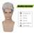 cheap Mens Wigs-Mens Short Grey Wig Short Curly Gray Wig Synthetic Heat Resistant Hair Replacment Wig for Daily Party Costumes