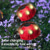 cheap Landscape Lights-Solar Ladybug Light Outdoor Garden Light Yard Lawn Aisle Courtyard Landscape Decoration