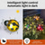cheap Landscape Lights-Solar Ladybug Light Outdoor Garden Light Yard Lawn Aisle Courtyard Landscape Decoration