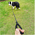 voordelige Halsbanden, Harnassen &amp; Lijnen-pet's company slip lead hondenriem, slip lead hondenriem, reflecterende bergbeklimmen touw riem, hondentraining riem - 5ft, 2 maten