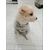 abordables Ropa y Accesorios para Perros-Ropa de perro para perros pequeños, suéter suave para perros, ropa para perros, ropa de invierno para chihuahua, traje clásico para mascotas, ropa para perros pequeños