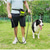 voordelige Halsbanden, Harnassen &amp; Lijnen-pet's company slip lead hondenriem, slip lead hondenriem, reflecterende bergbeklimmen touw riem, hondentraining riem - 5ft, 2 maten