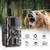 economico Action Camera-DL001 Fotocamera da Caccia Trail Camera 16MP 1080P Fotocamera di Monitoraggio della Fauna con Visione Notturna a 12M Sensore di Movimento IP66 Fotocamera Trail Regalo di San Valentino
