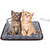 cheap Dog Beds &amp; Blankets-Pet Electric Heating Pad for Dogs &amp; Cats With Anti-bite Steel Cord Waterproof Adjustable Dog Warm Bed Mat Heated Pet Pad 45*45cm