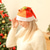 cheap Santa Hat &amp; Accessories-Santa Claus Hat Christmas Hat Unisex Christmas Masquerade Christmas Eve Cute Hat