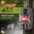 economico Action Camera-DL001 Fotocamera da Caccia Trail Camera 16MP 1080P Fotocamera di Monitoraggio della Fauna con Visione Notturna a 12M Sensore di Movimento IP66 Fotocamera Trail Regalo di San Valentino