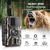 economico Action Camera-DL001 Fotocamera da Caccia Trail Camera 16MP 1080P Fotocamera di Monitoraggio della Fauna con Visione Notturna a 12M Sensore di Movimento IP66 Fotocamera Trail Regalo di San Valentino
