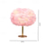 Χαμηλού Κόστους επιτραπέζιο &amp; επιδαπέδιο φωτιστικό-πουπουλένιο επιτραπέζιο φωτιστικό ροζ κομοδίνο φωτιστικό led διακοσμητικός φωτισμός σαλονιού κρεβατοκάμαρας μπαρ εστιατορίου διακόσμηση σπιτιού γάμου