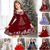 cheap Dresses-Kids Girls&#039; Christmas Dress Dress Snowflake Dress Animal Elk Snowflake Long Sleeve Casual Crewneck Adorable Daily Polyester Above Knee Casual Dress Swing Dress A Line Dress Fall Winter 3-10 Years