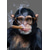 cheap Animal Prints-Wall Art Canvas Monkey Smoking a Cigar Paintings on the Wall Art Posters and Prints Animals Nordic Pictures Home Wall Decoration Without Frame Painting Core