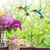 abordables Hasta 30 $-1 pieza, colgante de atrapasol de cristal de colibrí, decoración de jardín de bola de prisma colgante