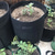 cheap Plant Grow Bags-Plant Grow Bags Home Garden Potato Pot Greenhouse Vegetable Growing Bags Moisturizing Jardin Vertical Garden Bag Tools
