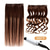 cheap Clip in Hair Extensions-5 Pieces 14 Remy Clip in Hair Extensions Human Hair Chocolate Brown to Honey Blonde Highlight Brown Ombre - Silky Straight Short Thick Real Hair Extensions for Women