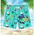 levne košile a obleky na ochranu proti vyrážce-Pánské Surfovací šortky Lehká váha Rychleschnoucí Surfovací šortky Surfování Plážové Pléd Spád S potiskem Léto Jaro