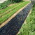 cheap Plant Care Accessories-Plastic Film With Planting Holes, Garden Weed Control Barrier Film Mulching Breathable Gardening Farming Landscape Sheeting For Moisture Temperature Maintaining
