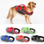 tanie kamizelki ratunkowe-Psy Kamizelka ratunkowa Kamizelka ratunkowa dla psa Moda Sport a Outdoor Bezpieczeństwo Plaża Błękitnozielony Ubranka dla psów for Ochrypły Golden retriever Bichon frise Szpic miniaturowy Small