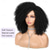 cheap Black &amp; African Wigs-Short Curly Wig Afro Curly Wigs Kinky Curly Hair Wig Synthetic Afro Wigs for Black Women