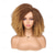 cheap Black &amp; African Wigs-Short Curly Wig Afro Curly Wigs Kinky Curly Hair Wig Synthetic Afro Wigs for Black Women