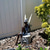 cheap Garden Sculptures&amp;Statues-Fairy Statue Angel Fairy Statue, Garden Antique Resin, Realistic Decoration, Family Table Decoration, Garden, Lawn, Courtyard, Porch, Courtyard, Outdoor Decoration