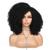 cheap Black &amp; African Wigs-Short Curly Wig Afro Curly Wigs Kinky Curly Hair Wig Synthetic Afro Wigs for Black Women