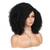 cheap Black &amp; African Wigs-Short Curly Wig Afro Curly Wigs Kinky Curly Hair Wig Synthetic Afro Wigs for Black Women